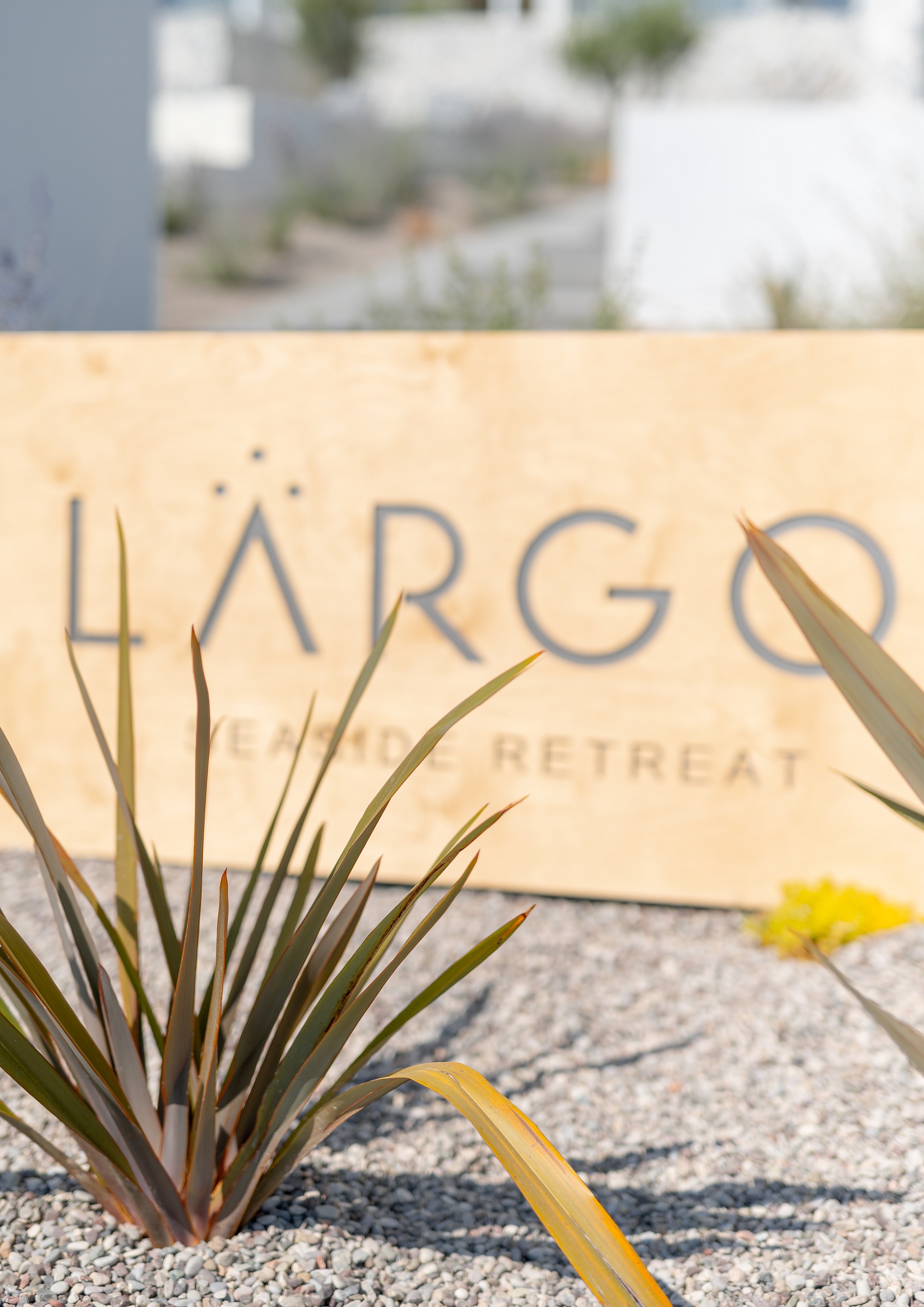 Largo Seaside Gallery14